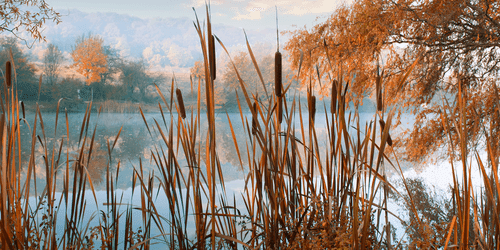 CANVAS PRINT RIVER IN THE MIDDLE OF AUTUMN NATURE - PICTURES OF NATURE AND LANDSCAPE - PICTURES