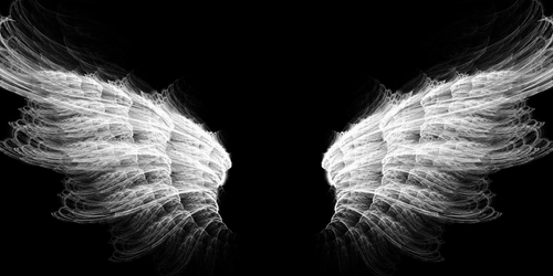 CANVAS PRINT BLACK AND WHITE ANGEL WINGS - BLACK AND WHITE PICTURES - PICTURES