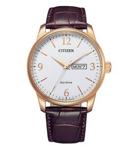 CITIZEN ECO-DRIVE CLASSIC BM8553-16AE - ELEGANT - BRANDS