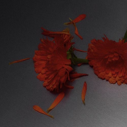 Abel Room Spray - Scene 02