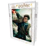 3D PUZZLE Harry Potter-Harry Potter 300ks, W019133