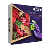 OKTO Passion Art set de modelare suculente în cadru de lemn 21x21 cm, OKTO, W034377 OKTO Passion Art set de modelare suculente în cadru de lemn 21x21 cm, OKTO, W034377