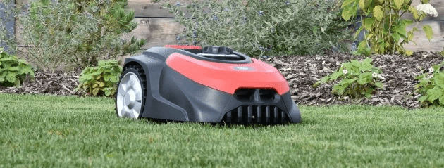 robot koszący na trawie