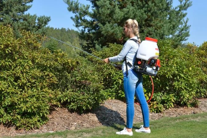 Wiosenne opryski drzew owocowych – kiedy i jak je prawidłowo wykonać?