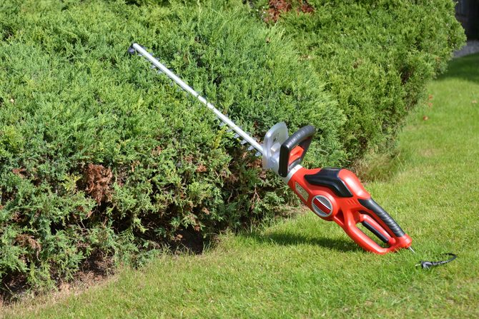 Cięcie i formowanie żywopłotów — jak i kiedy przycinać żywopłot?