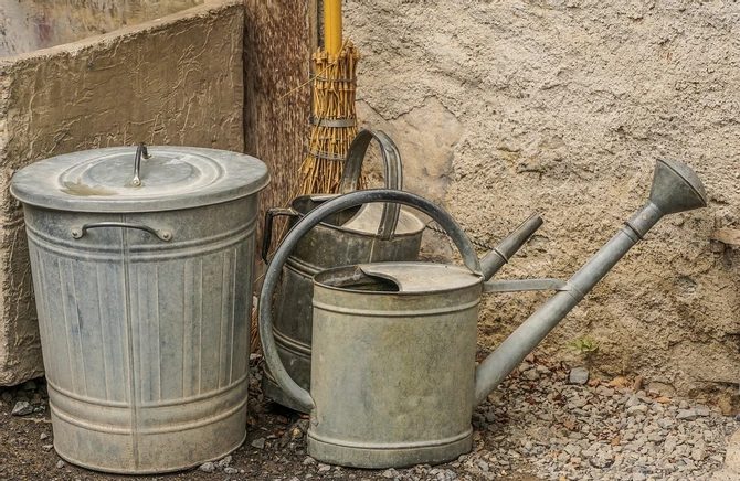 Jak własnoręcznie zrobić nawóz ekologiczny bez użycia chemii?