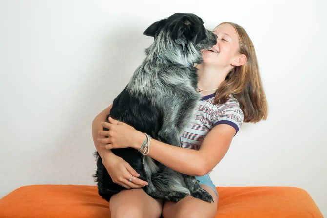 Podstawy długiego i szczęśliwego życia Twojego psa