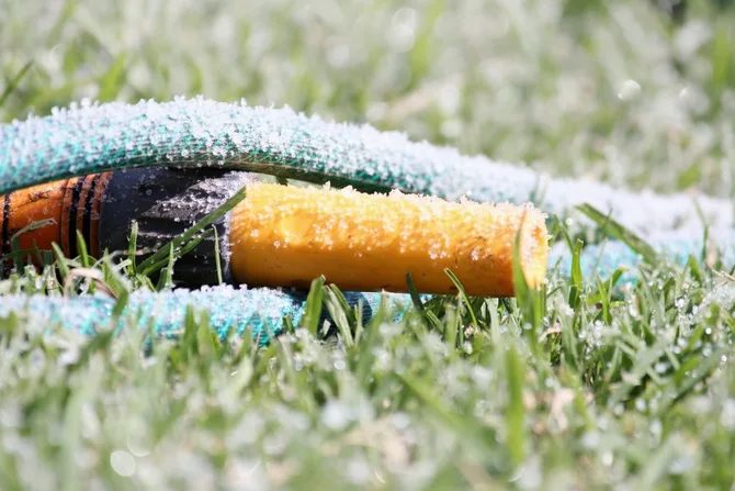 Zbliżają się pierwsze przymrozki – przygotuj ogród na czas