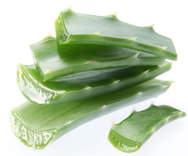 Zázrak zvaný aloe vera