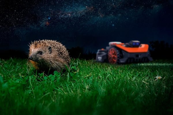 WORX WR330E - FiatLux pro plnou viditelnost za přítmí