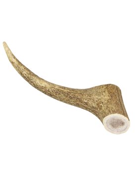 Marp Holistic - Deer antler XL whole piece