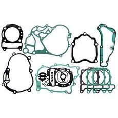 Těsnění motoru - sada RMS 100684220