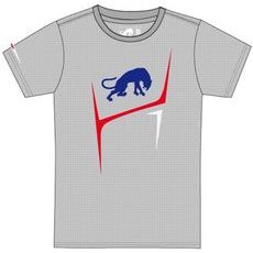 FURYGAN triko FLAMES heather grey/blue/white/red