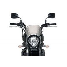 Plexi na motorku PUIG FRONTAL PLATE 3592P strieborná hliník