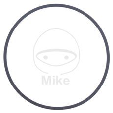 Tesnenie vodnej pumpy ATHENA M752006000004 2X60 mm