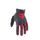 FOX Dirtpaw Glove Ce - Grey/Red MX24