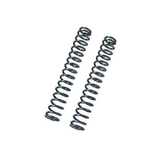 FORK SPRINGS KIT BITUBO (K 1.0) (+1 LT. OIL)