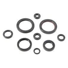 Sada gufier motoru WINDEROSA EOSK 822989