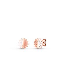 Earrings Riterra Rose Gold