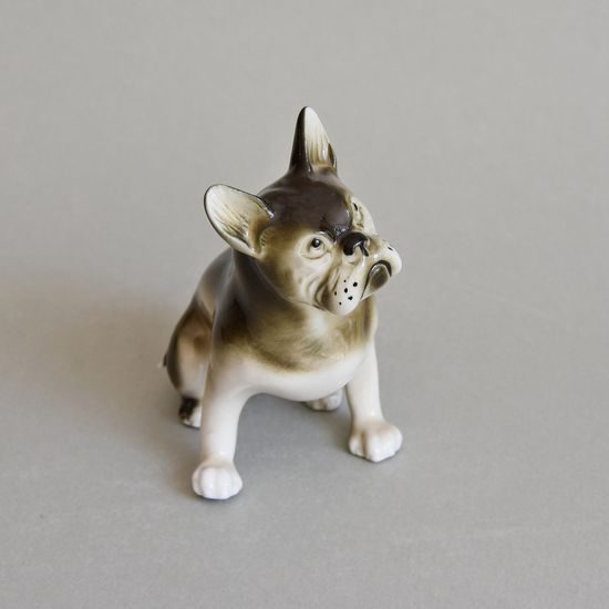 Buldok 13 x 7,5 x 12 cm, luxor, Porcelánové figurky Duchcov