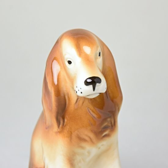 Pes kokršpaněl 9 x 6 x 13,5 cm, Porcelánové figurky Duchcov