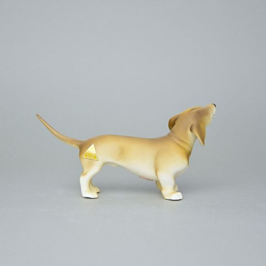 Pes ratlík 16,5 x 6 x 8,5 cm, pastel, Porcelánové figurky Duchcov