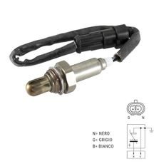 Oxygen sensor RMS 100120220