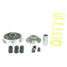 Variator ATHENA P400210110018