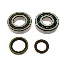 Ležaji in tesnila za glavno gred (Crankshaft rebuilding kit) ATHENA P400270444023