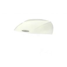 Pokrov kovčka ( Cover ) SHAD D1B29ER za SH29 nepobarvana ( unpainted )