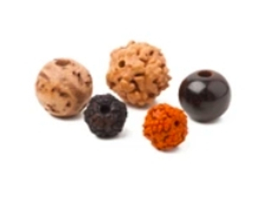 Rudraksha and beads from exotic woods