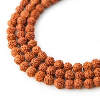 Korálek ze semínka Rudraksha dobarvovaný 6mm