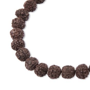 Korálek ze semínka Rudraksha dobarvovaný tmavě hnědý 10mm