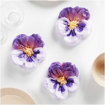 Tissue paper flowers kit - violas diameter 13 cm