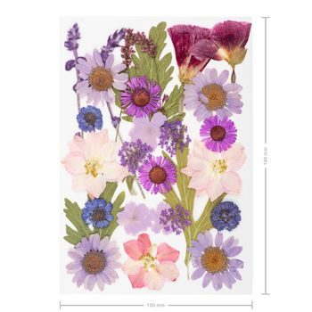 Pressed dried flowers large pink