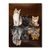 Diamond painting kittens with beasts in reflection