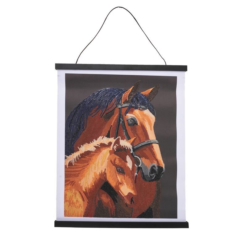 Diamantové malování obraz v lištách koně 35 x 45 cm