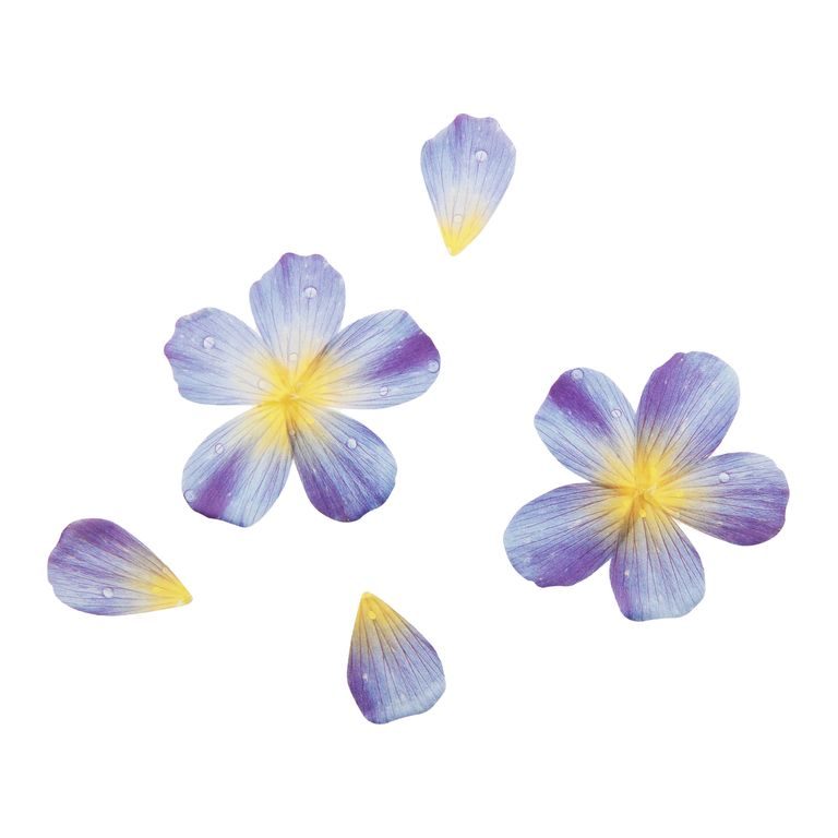 Scrapbookové samolepky květinové plátky modré
