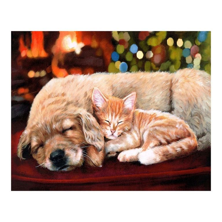 Painting by numbers doggy and kitty
