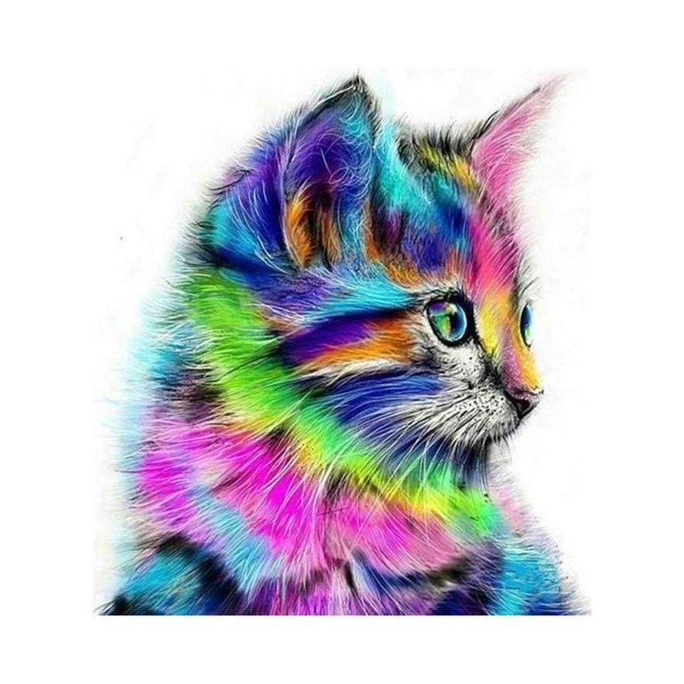 Painting by numbers coloured kitten