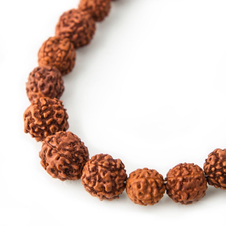 Korálek ze semínka Rudraksha dobarvovaný 12mm