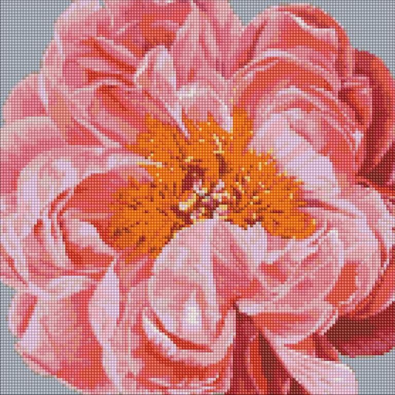 Diamantové malování obraz s růžovým květem 40х40cm