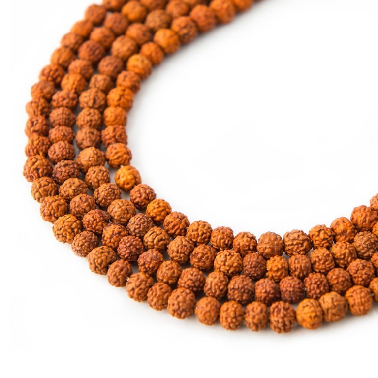 Bead from Rudraksha seed colored 5mm