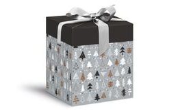 krabička dárková vánoční 12x12x15cm 5370575
