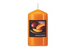 Vonná svíčka válec Mango-Papaya 60 /110