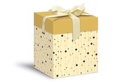 krabička dárková vánoční 12x12x15cm 5370572
