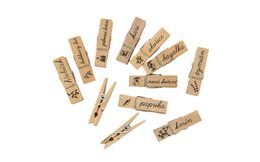 Mini pegs for spice bags - 12 pcs