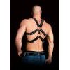 Ouch! Andreas Masculine Masterpiece Harness
