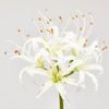 Umělá květina nerine bílá, 90 cm