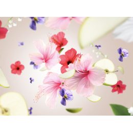 Aroma difuzér CUBE, Proti zvířecímu zápachu – Ovocno-květinová vůně, 125 ml